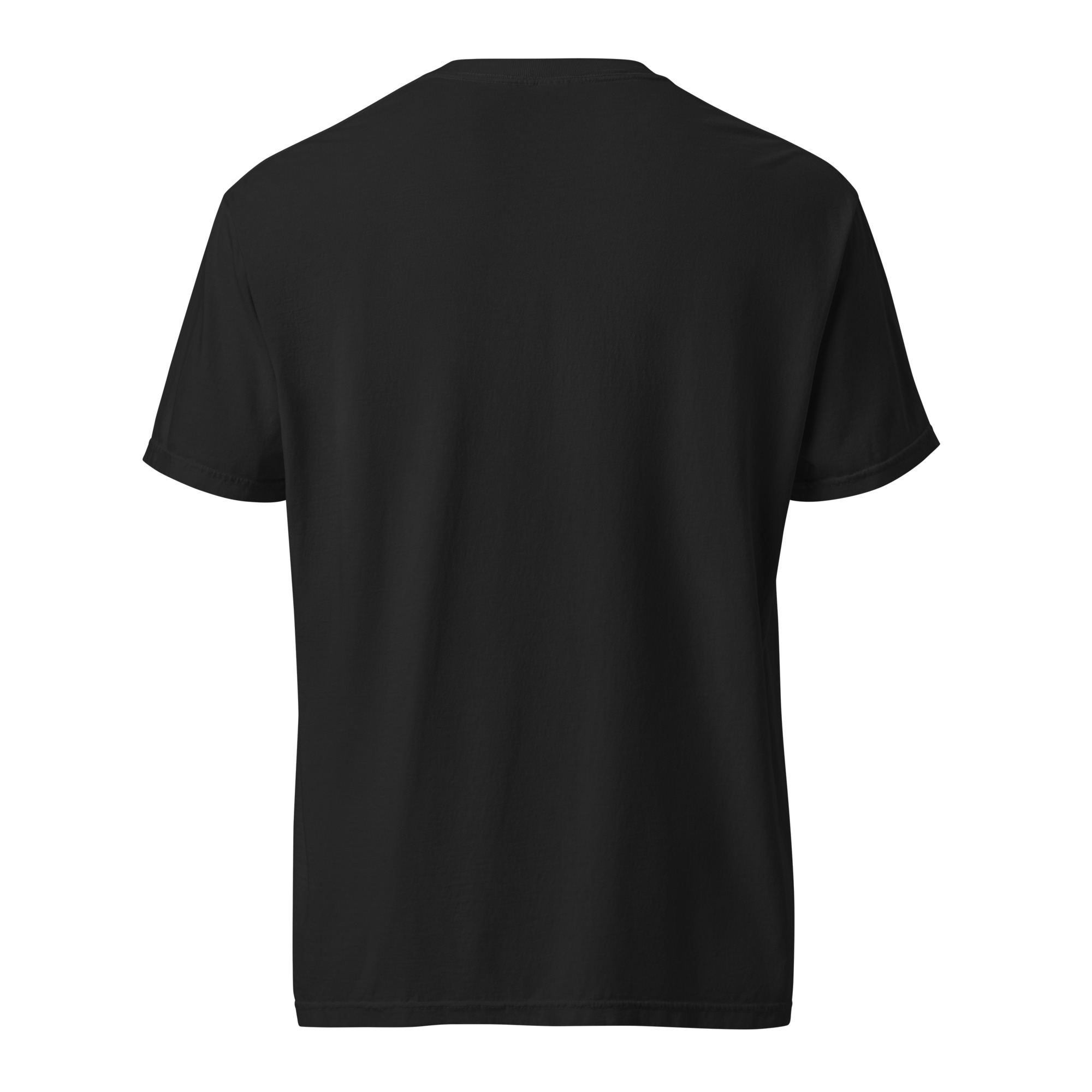 unisex garment dyed heavyweight t shirt black back 6a7a0198bf5b8.jpg