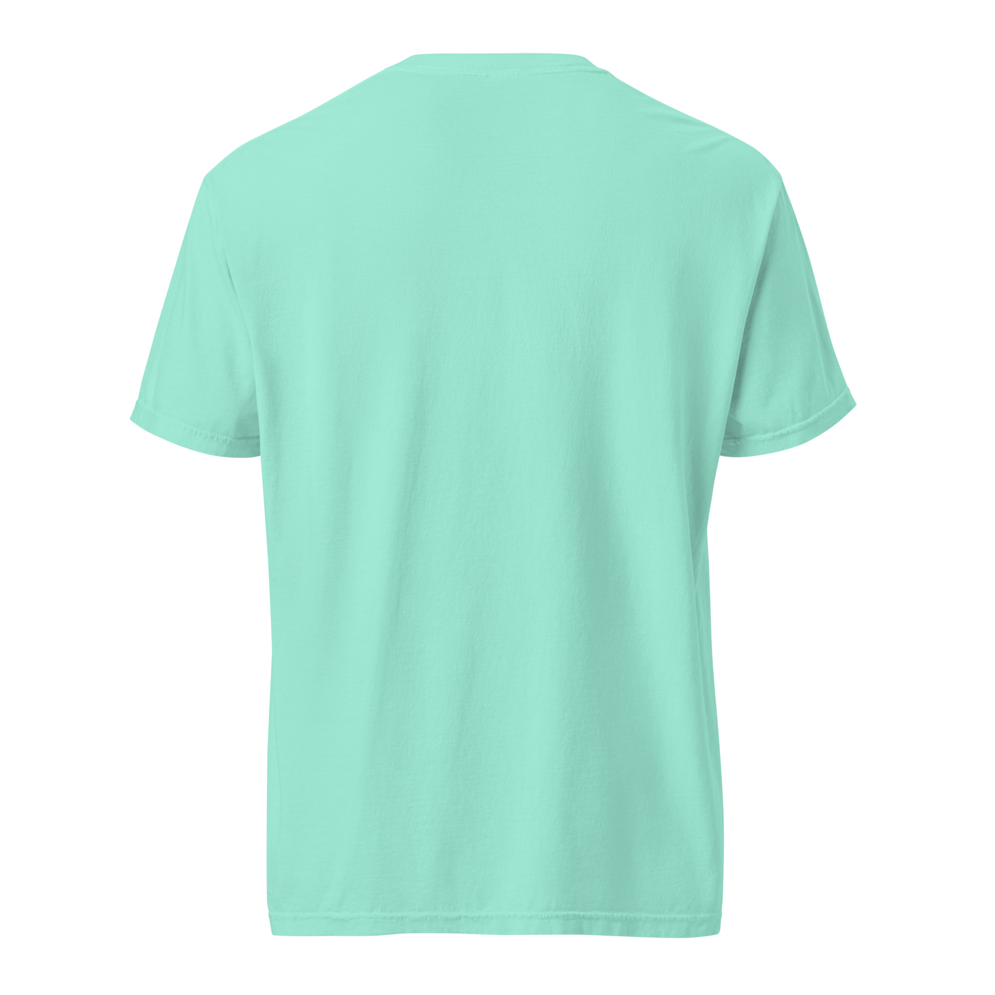 unisex garment dyed heavyweight t shirt chalky mint back 6a79ffd71a671.jpg