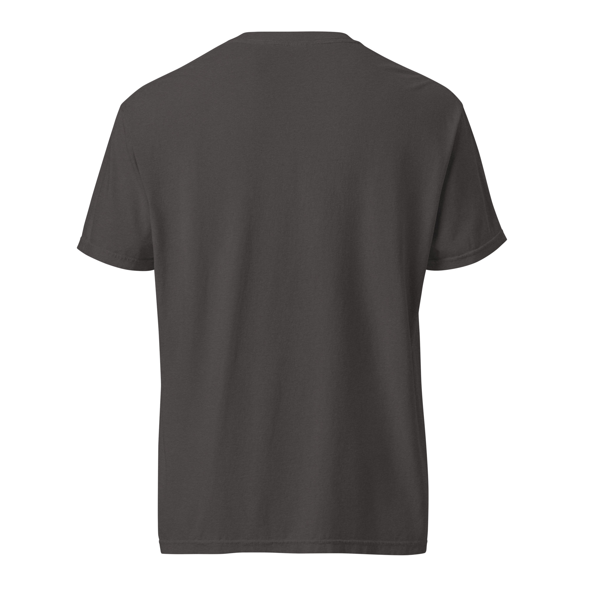 unisex garment dyed heavyweight t shirt graphite back 6a78c2f97cf4e.jpg