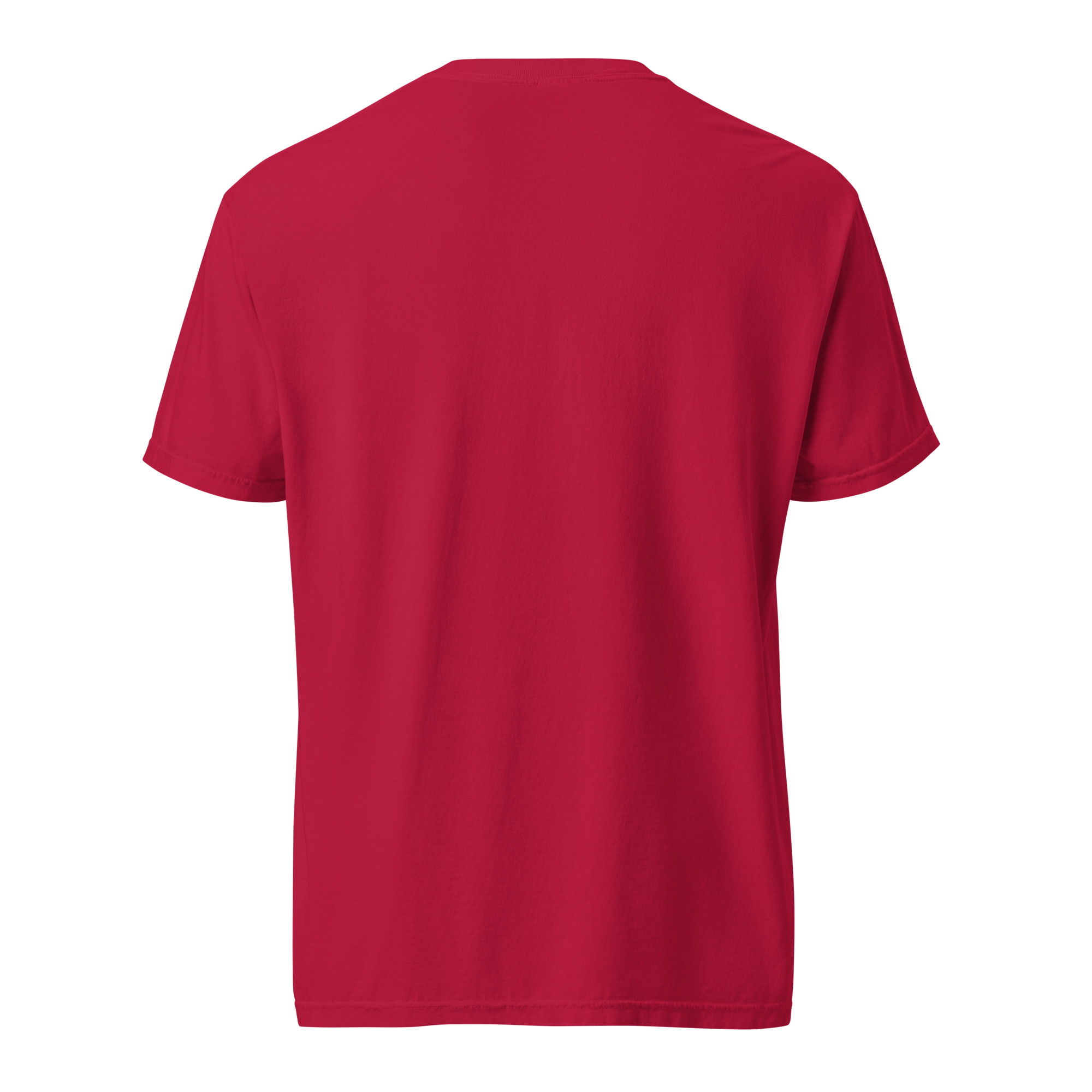 T-shirt unisexe - Paddock LifeStyle Coloris Au choix – Image 20